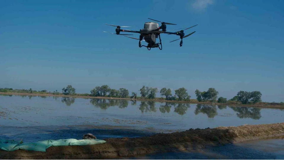Dron ile çeltik ekimi yapıldı