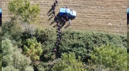 Drone ile kenevir tarları tespit edildi