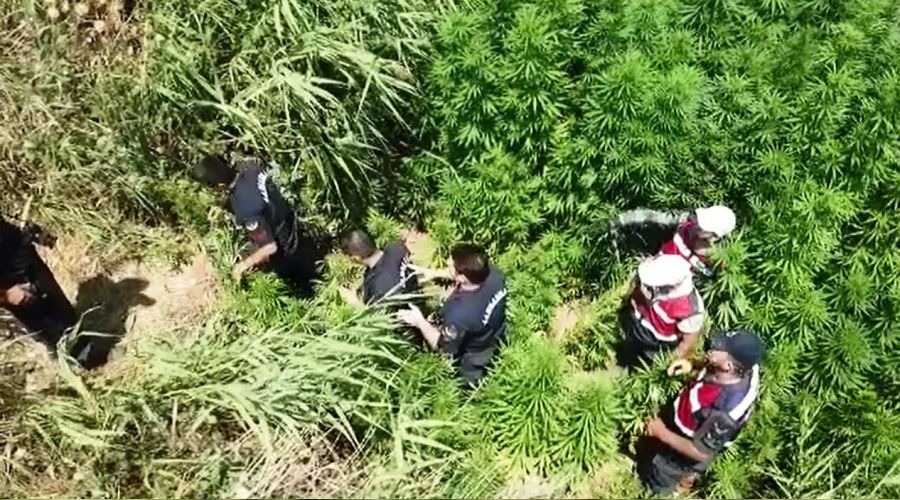 Drone tespit etti, jandarma operasyon yaptı