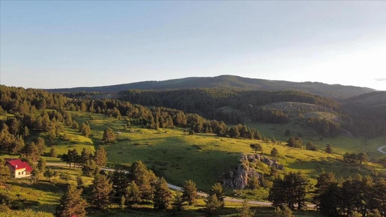 Dumanl� Tabiat Park�: Bayburt'un gizli cenneti