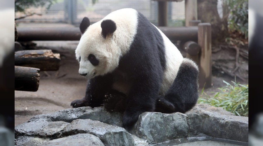 D�nyan�n en ya�l�s�yd� 38 ya��nda �ld�