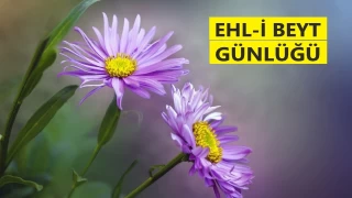 ‘Düşüncenin kılavuzu suskunluktur’