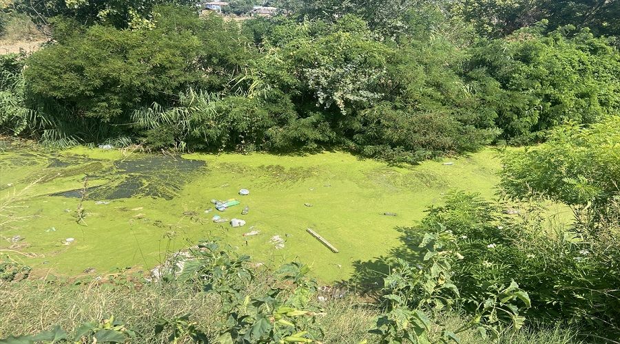 Edirne'de "Bay�r dersinin rengi korkuttu"