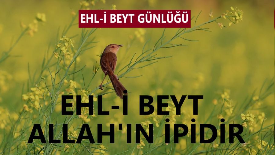 Ehl-i Beyt Allah’ın ipidir
