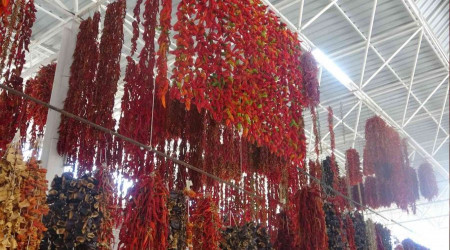 Ekmeğini acıdan çıkartıyor