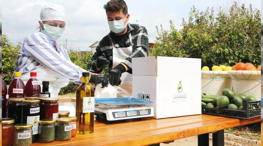 Ektikleri al�n terinin meyvelerini e-ticaretle topluyorlar