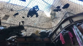 El Halil'de Yahudi tacizi Filistinlileri 'kafes' altnda yaatyor
