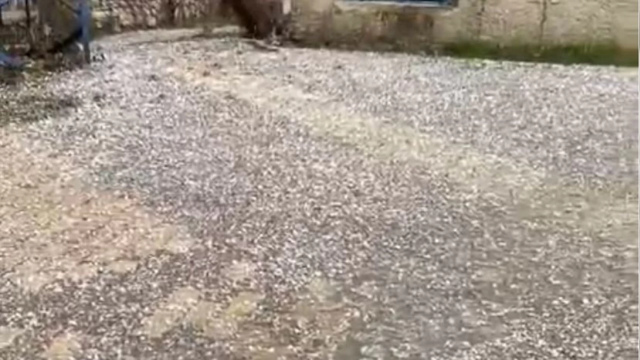 Elazığ'da misket büyüklüğünde dolu yağdı
