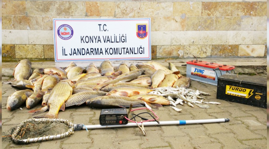 Elektroşokla balık avına 60 bin lira ceza