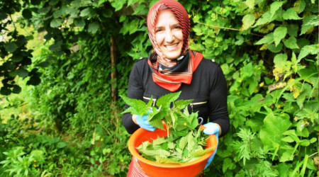 Elleri yana yana para kazanıyor