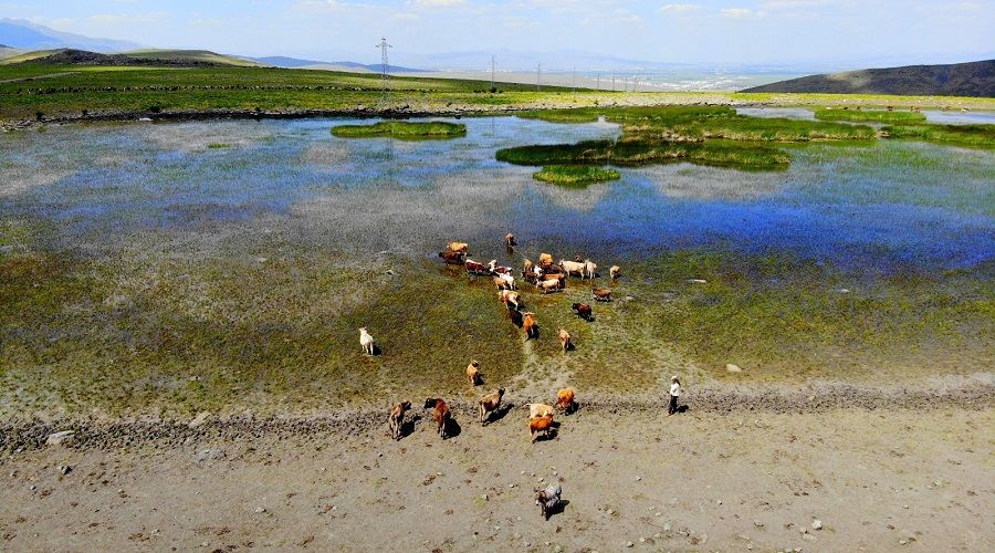 Erzurum'da göller bir bir kuruyor