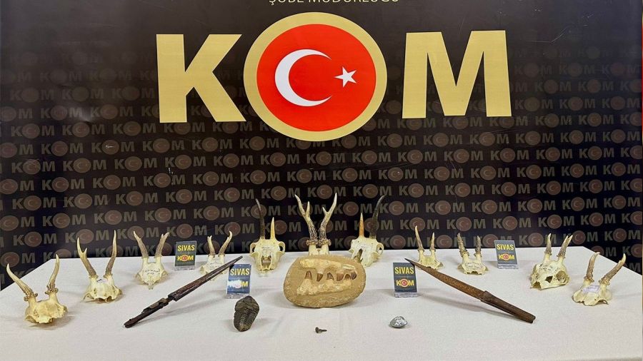 Evden tarih çıktı