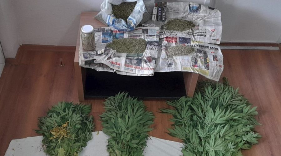 Evin bahesinde 110 kk kenevir yetitirdiler