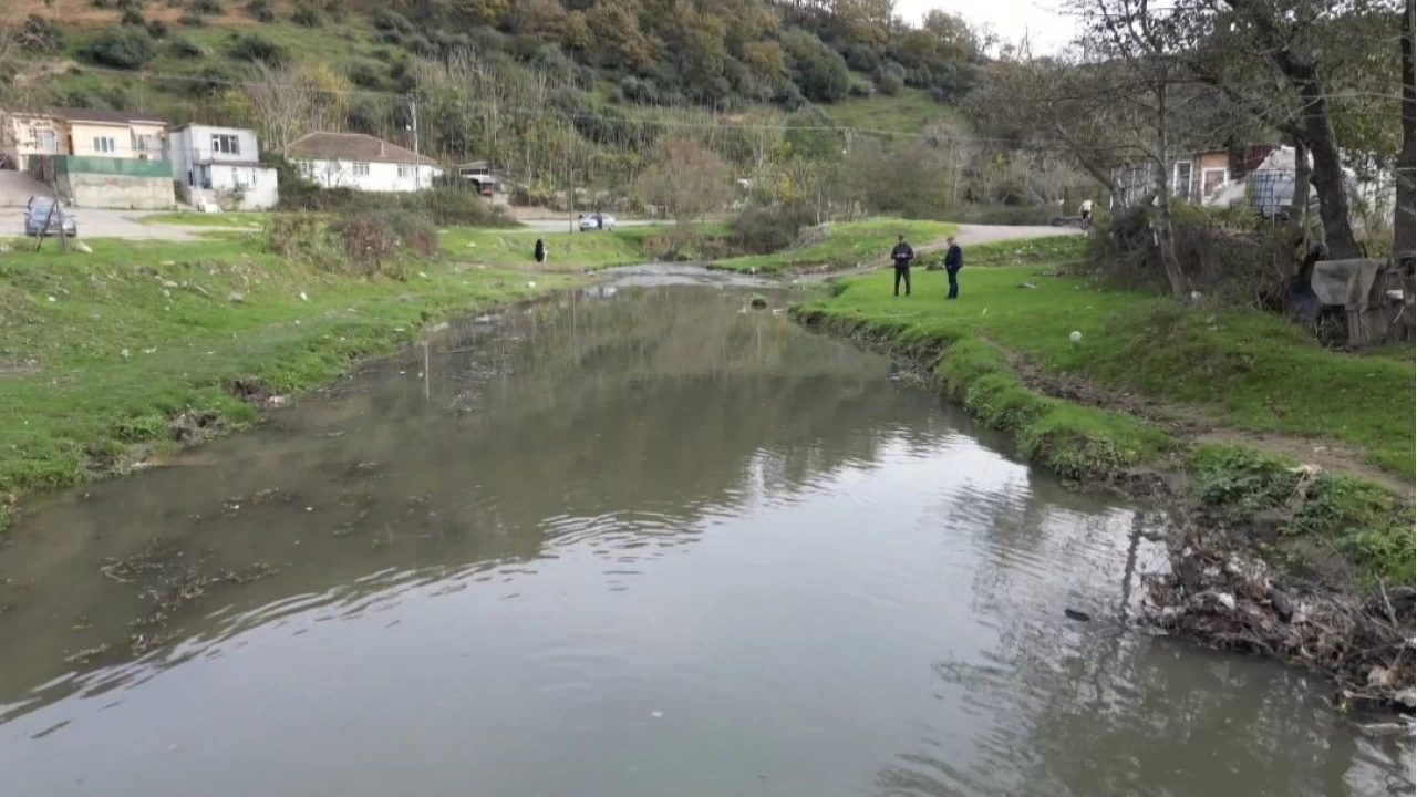Eyüpsultan'daki gölde balık ölümleri yaşandı