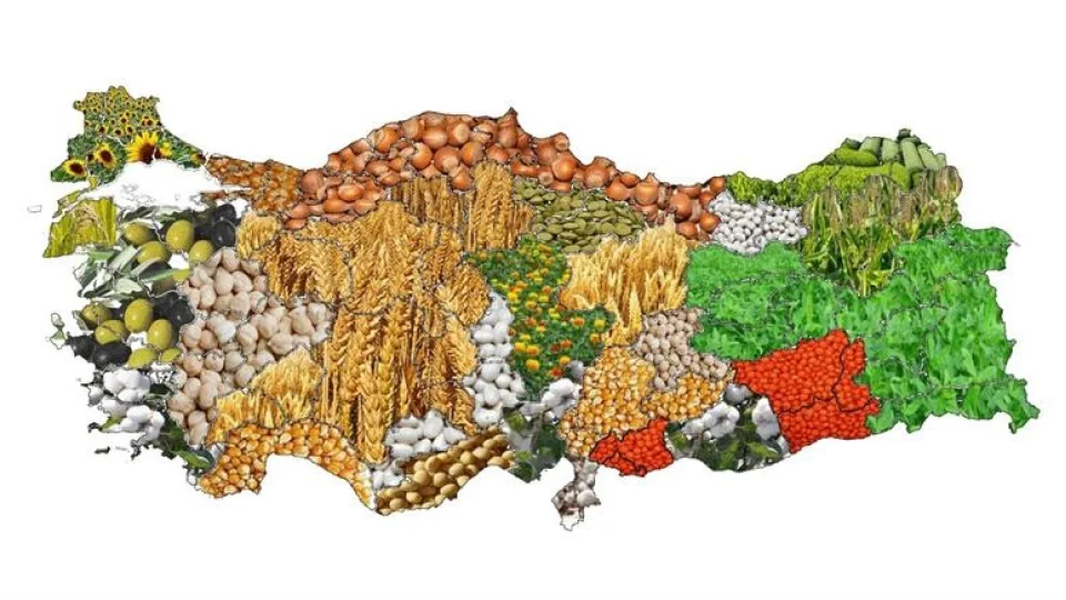 Faizsiz �retim denklemi