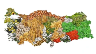 Faizsiz �retim denklemi