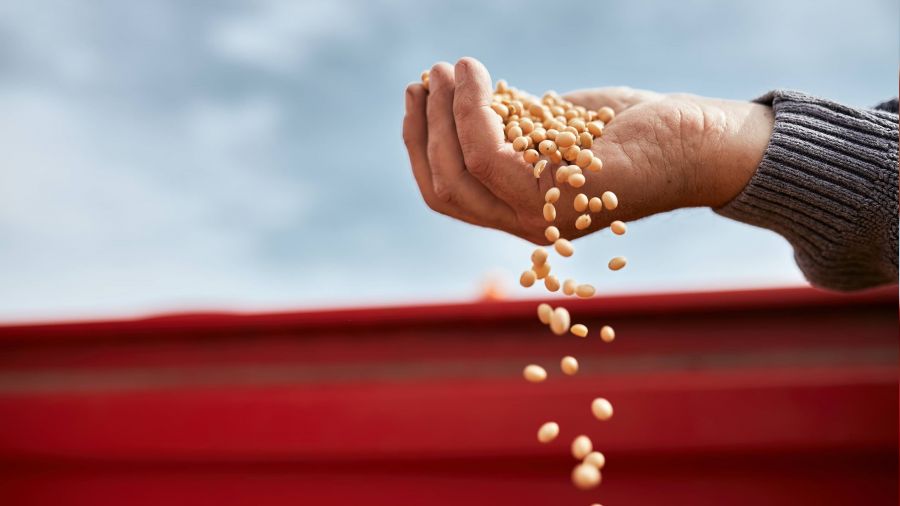 FAO'dan 'g�da darl���' uyar�s�