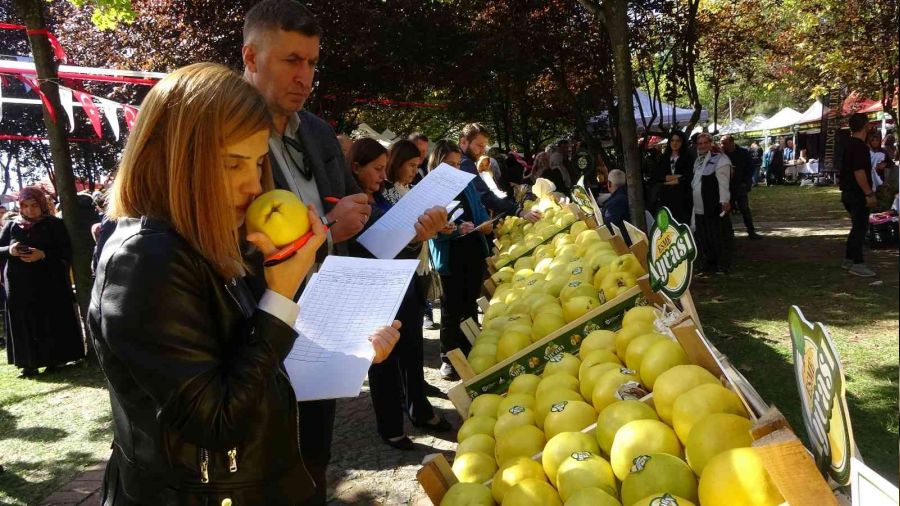 Festivalde ayvalar yar��t�