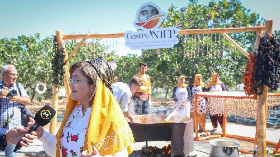 Gastroantep festivali, antepfıstığı hasadı ve şire yapımıyla başladı