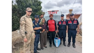 Gazipaşa'da kayıp kadın 2 gün sonra bulundu
