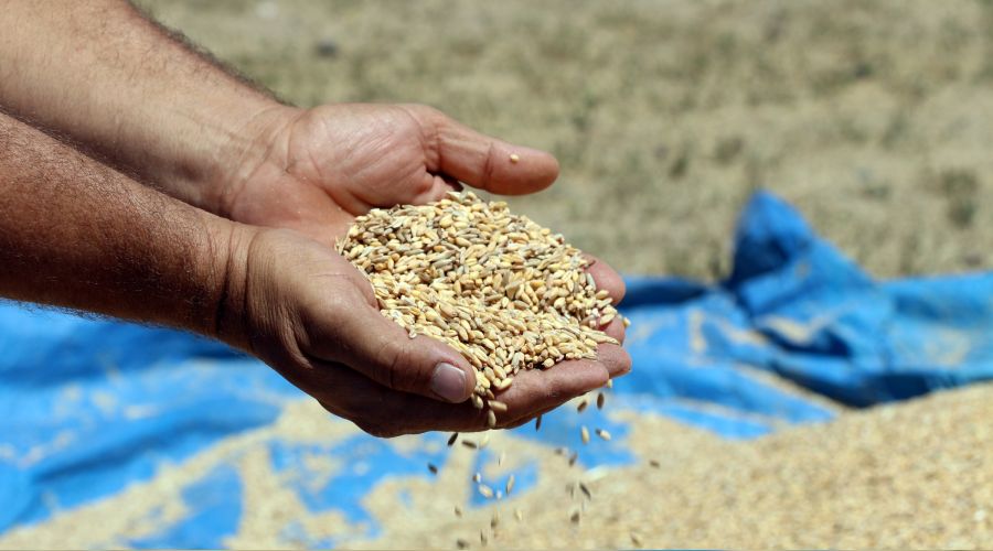  G�dada fiyatlar roketledi