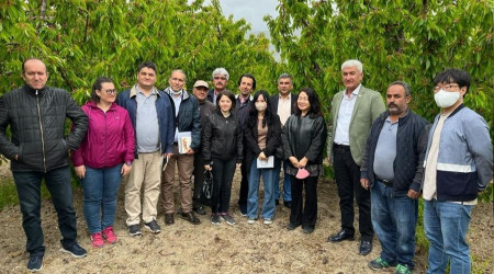 Güney Koreli heyet kiraz için Isparta'da