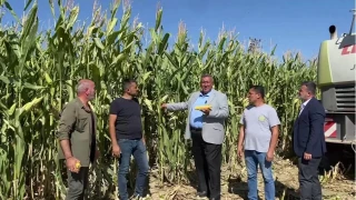 G�rer, ��reticiden 11 bin 300 TL�ye al, 10 bin 185 TL�ye ithal et, �ift�iye 12 bin 200 TL�ye sat. Kamu t�ccar de�ildir; destek olmak yerine k�r pe�inde ko�mamal�d�r� dedi