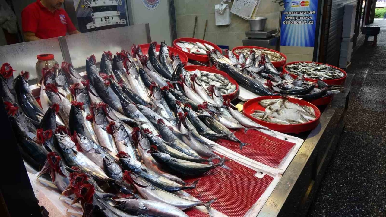 Hamsiyi denizde g�remeyen bal�k�� kayg�lan�yor