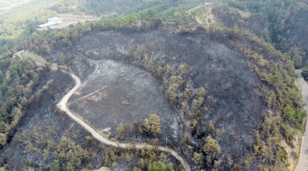 Hatay'da yanan alanlar havadan görüntülendi