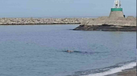 Hava sıcaklığı 20 dereceye yükseldi, vatandaşlar denize girdi