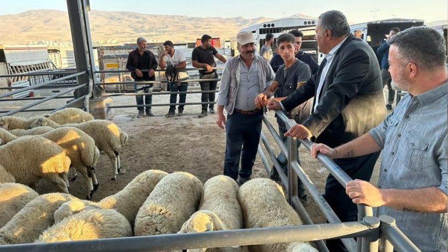 Hayvanc�l�kta b�y�k kriz