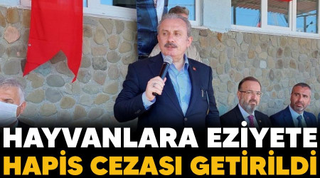Hayvanlara eziyete hapis cezası getirildi