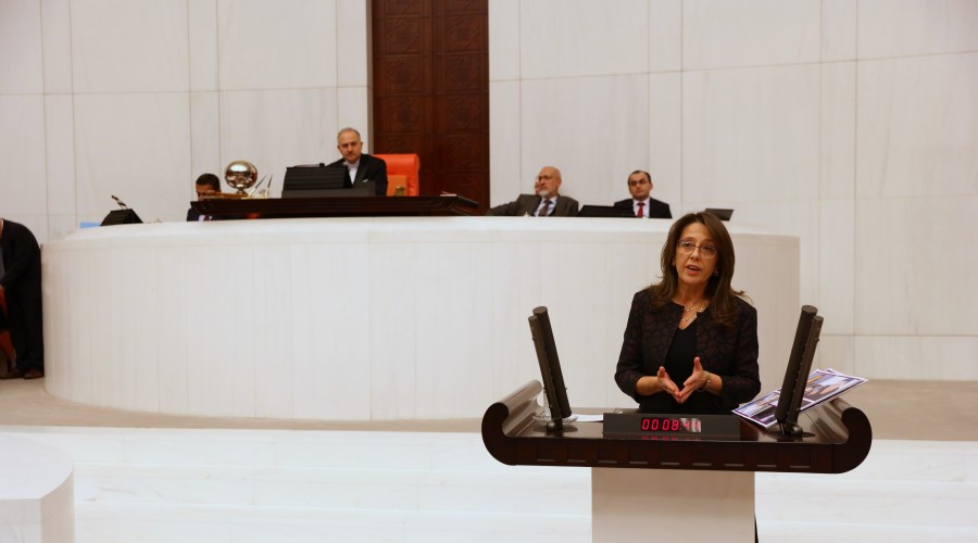 HES’lerin Karadeniz’e verdiği zararlar araştırılsın!