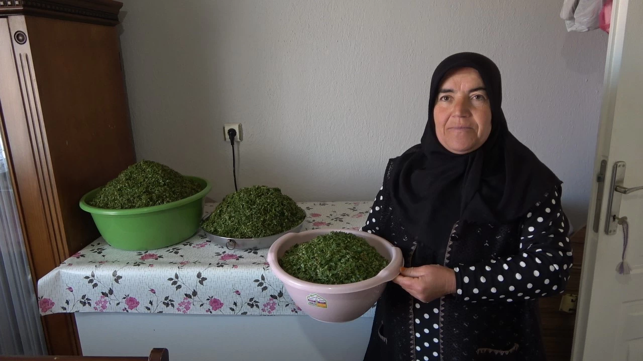  Anadolu'nun lezzeti madmak sofralarda yerini ald
