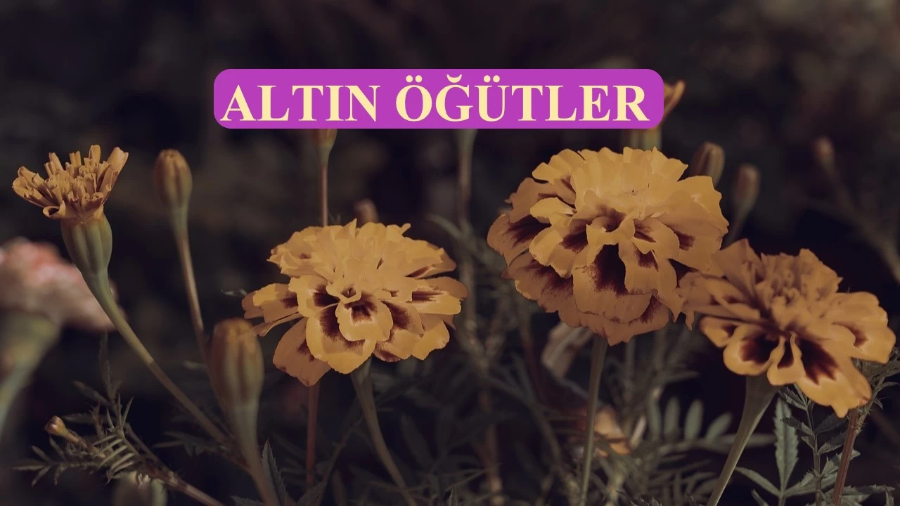 ‘İçki içenin sözünü tasdik etmeyin’