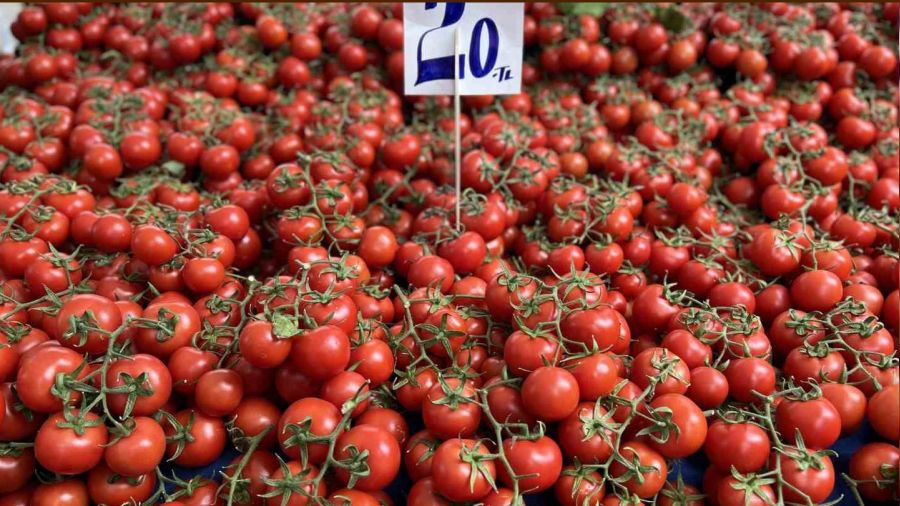 �hracat k�s�tlamas� getirilen domatesin fiyat� y�zde 40 d��t�