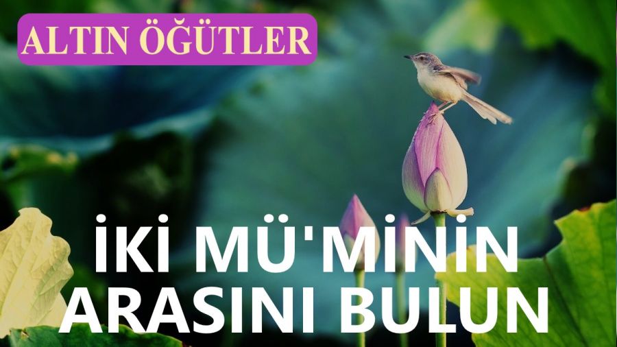 ‘İki mü’minin arasını bulun’