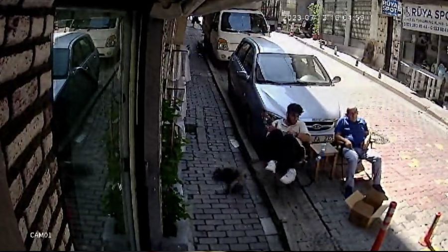  �kinci kattan �zerine kedi d��t�