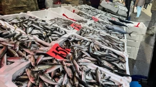 İstavrit tezgahta 150 liradan alıcı buldu