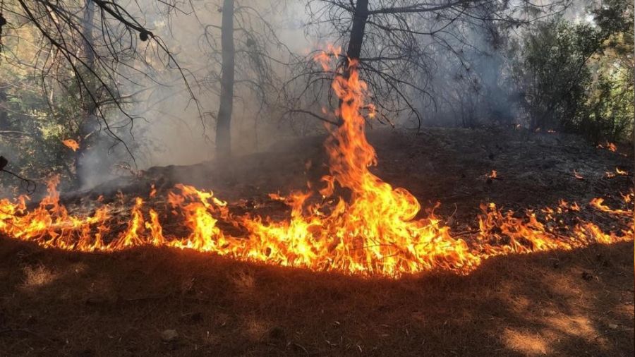 İzmir ve Manisa'da 8 ayda 455 yangın çıktı
