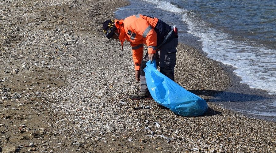 �zmir'de �l� bal�klar k�y�ya vurdu