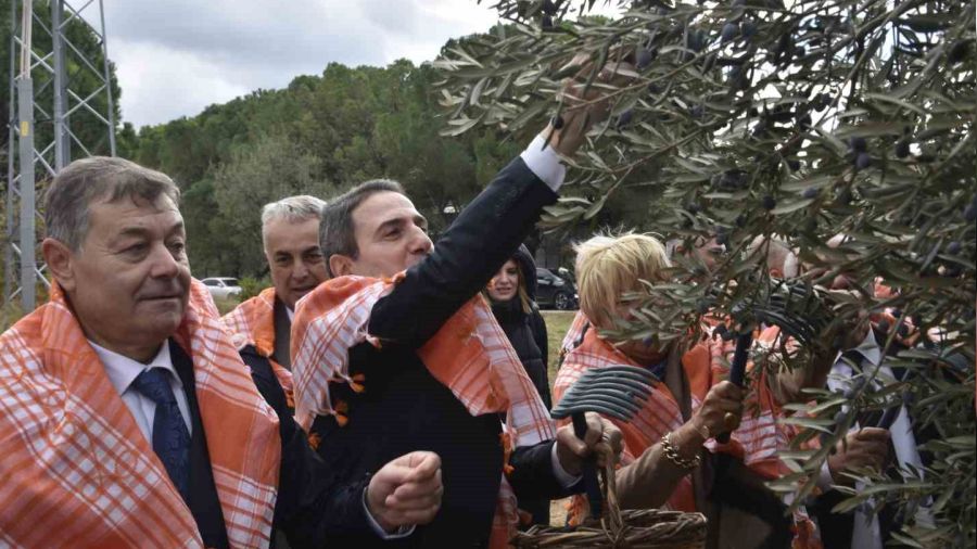 İzmir'de zeytin ve zeytinyağı sezonu açıldı