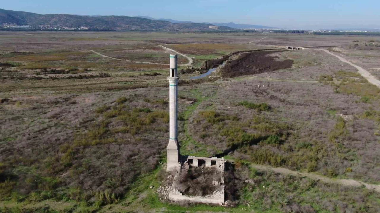 zmir'in can damar kritik eikte