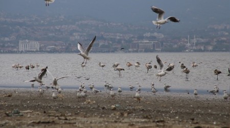 İzmit Körfezi’nde görsel şölen