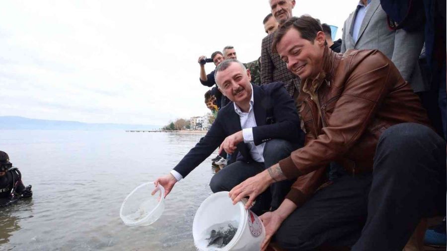 zmit Krfezi'ne 6 bin balk daha brakld: Adm adm izlenebilecekler