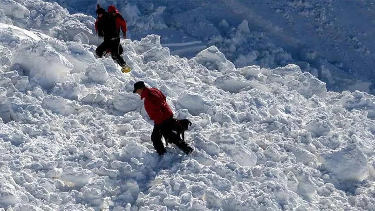 Japonya'da çığ nedeniyle 100'ü aşkın kişi mahsur kaldı