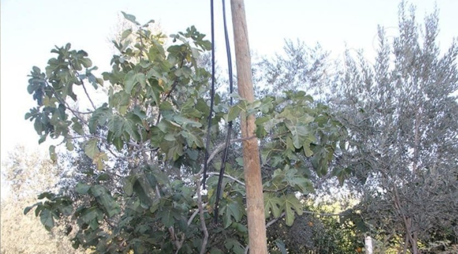 Kabloları çalan hırsızlar 20 köyü internetsiz bıraktı