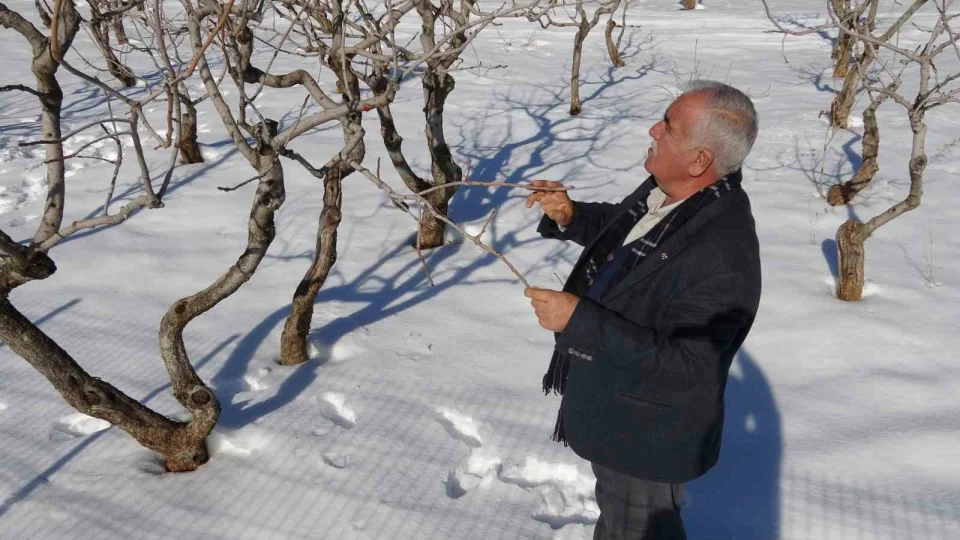 Kar yağışı Gaziantep'te çiftçinin yüzünü güldürdü