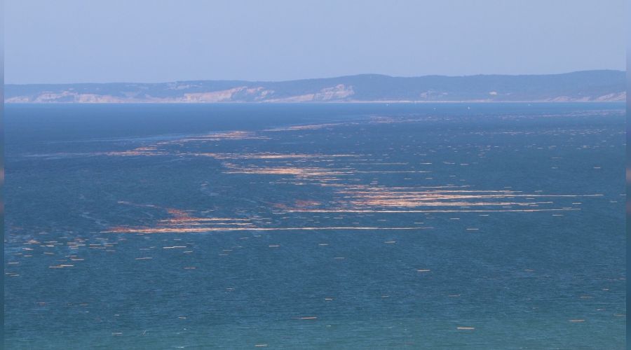 Karadeniz'de tomruk adacıkları oluştu