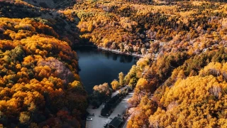 Karagöl Tabiat Parkı'nda sonbahar